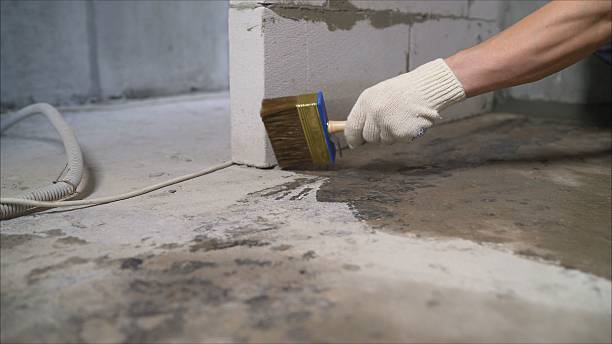 24/7 Emergency Waterproofing experts in Tuscaloosa, AL